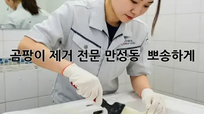 곰팡이 제거 전문, 만성동 🏠 뽀송하게!