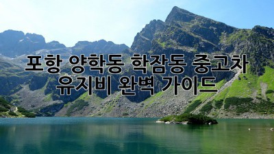 포항 양학동 학잠동 중고차 유지비 완벽 가이드